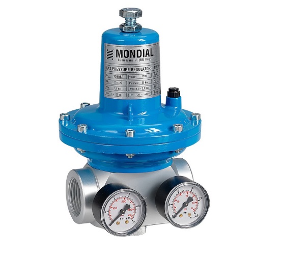 High Pressure Direct Acting HPS100