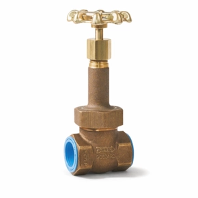 Gate Valves - Cryogenic Rego Valves